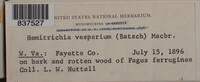 Image Associated With the Occurence